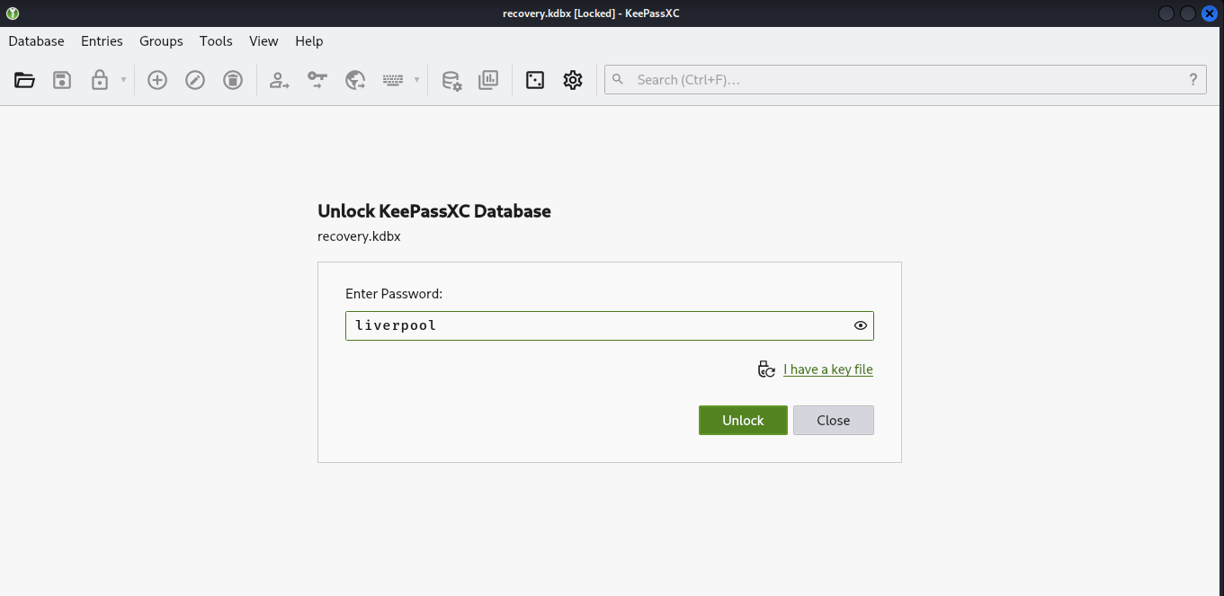 A imagem mostra a senha liverpool digitada como chave mestra